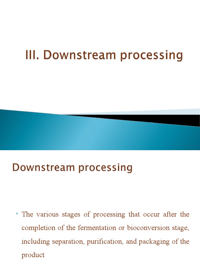 Downstream Processing PDF Filtration Solid