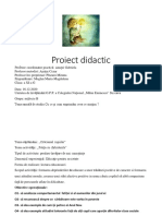 Proiect Didactic Educatie PT Societate