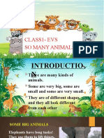 Evs - So Many Animals