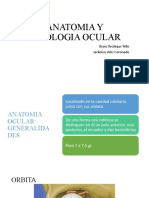 Anatomía y fisiología ocular