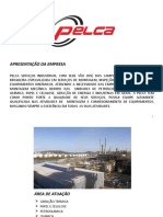 Apresentação Pelca Com NR-13