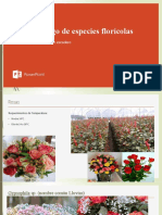 Catalogo de Especies Florícolas