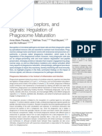 Patterns, Receptors, and Signals: Regulation of Phagosome Maturation