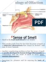 Physiology Smell