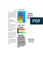 Triptico Seguridad Basada en El Comportamiento