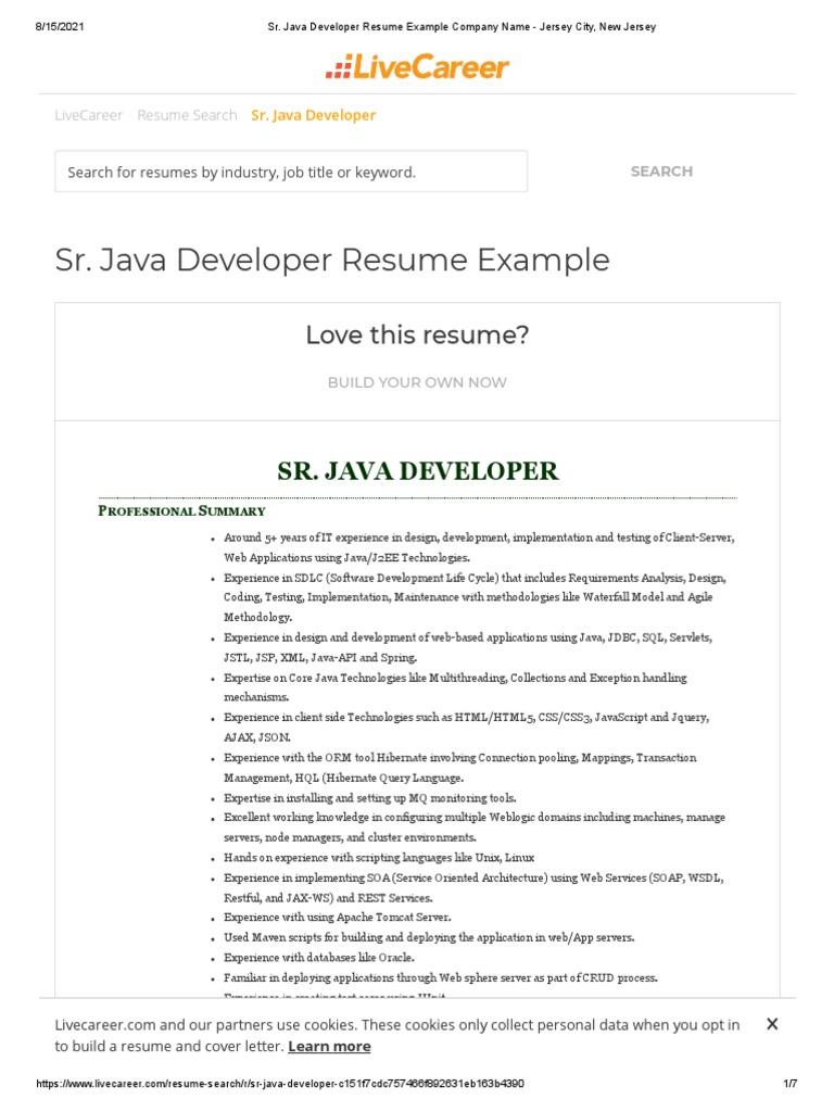 Sr. Java Developer Resume Example | PDF | Web Service | Web Application