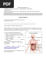El Sistema Digestivo: Guía de Ciencias Naturales N°4