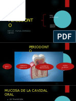 periodoncia -codiro