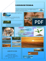 Infográfico Ecossistema e Biodiversidade