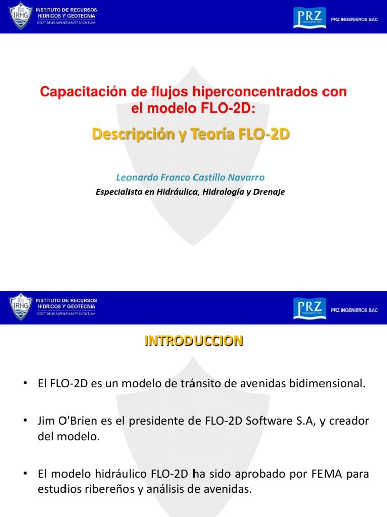 4.descripcion y Teoria FLO2D | PDF | Dinámica (Mecánica) | Olas