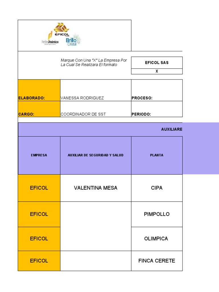 Gestión de Seguridad y Salud en EFICOL | PDF