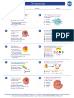 Worksheet Biology High School Cell Processes 3 0