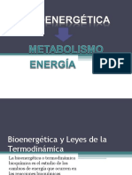 bioenergética