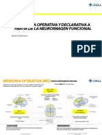 Memorias Desde La Neuroimagen