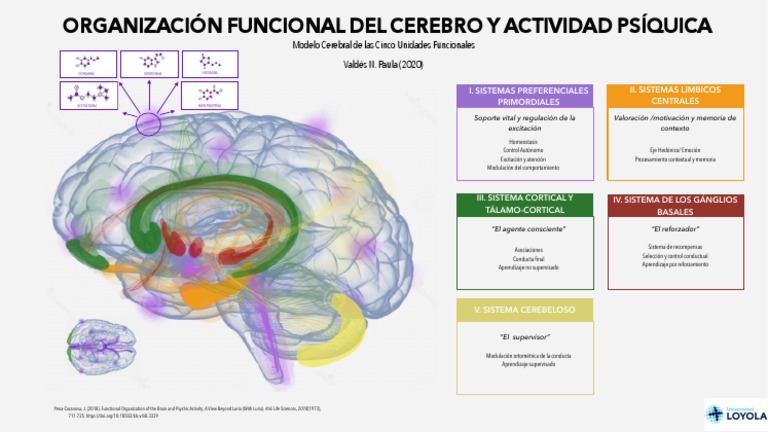 Gráficos | PDF | Ciencias del comportamiento | Neurociencia conductual
