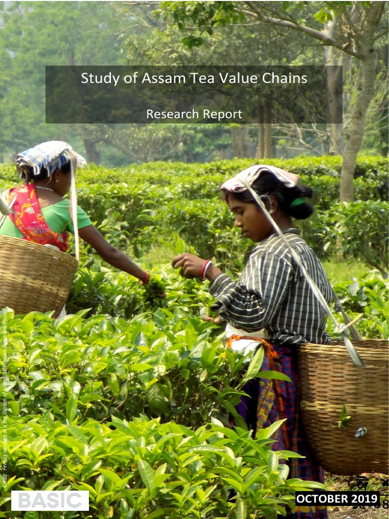 Assam Tea Value Chain Analysis | PDF | Tea | Economies