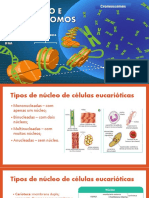 Revisão-Núcleo-Cromossomos