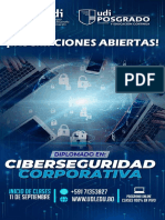 Brochure Diplomado CIBERSEGURIDAD-comprimido