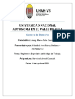 Regimenes Especiales Codigo Laboral