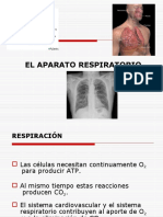 Rehabilitacion Cardiorespiratoria 2 Da Semana