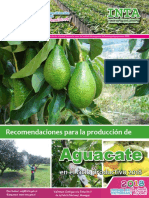 Guia Practica INTA Aguacate 2018