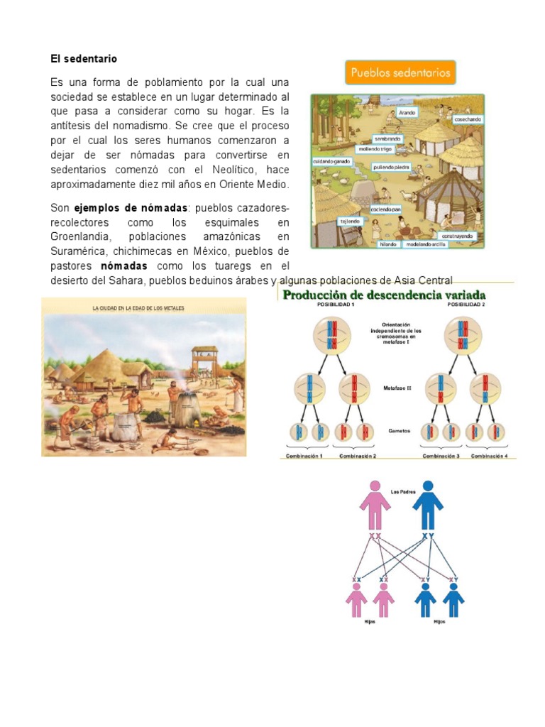 El Sedentarismo PDF
