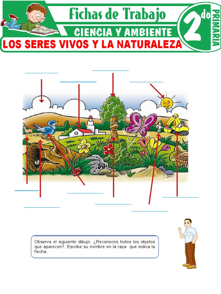 Los Seres Vivos y La Naturaleza para Segundo Grado de Primaria | PDF