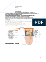 Fiziologie An II S2-curs 1