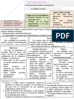 Articulaciones: clasificación y estructuras