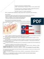 Resumo - Sala de Aula - Célula Fisiologia-17-08-2021