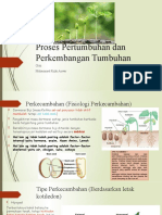 Pert & Perk PD Tumbuhan