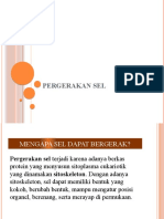 Pergerakan Sel