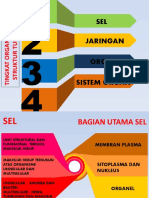 Struktur Tubuh Manusia dan Fungsi Sel