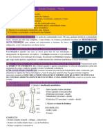 Estudo Dirigido- Fraturas