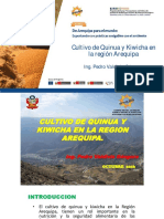 Cultivo de Quinua y Kiwicha en Arequipa