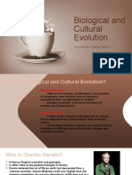 Biological and Cultural Evolution