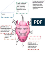 Desarrollo Humano Mapa Mental