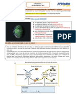 Actividad 10 de Junio..1