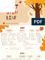 01root Stem Leaf