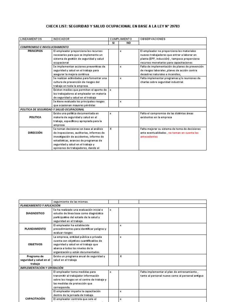 Check List | PDF | Seguridad y salud ocupacional | Planificación