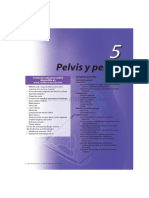 Capitulo Pelvis y Perine