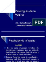 7.-APatologias de La Vagina