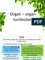 Organ-organ tumbuhan dan fungsinya