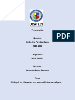 Caracteristica y Distinguir Las Diferentes Porciones Del Intestino Delgado