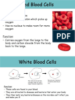 Specialised Cells Information Sheets