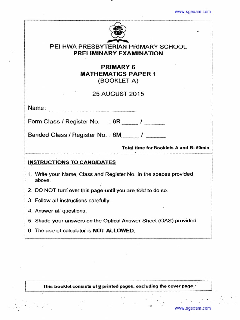 P6 Maths | PDF