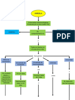 Mapa Conseptual Varicela