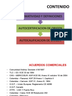 Presentacion Normas y Criterios de Origen para Autocalificacion