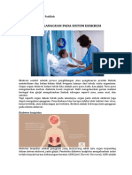 Gangguan Yang Menyerang Organ Ekskresi Zalfa Bilqis