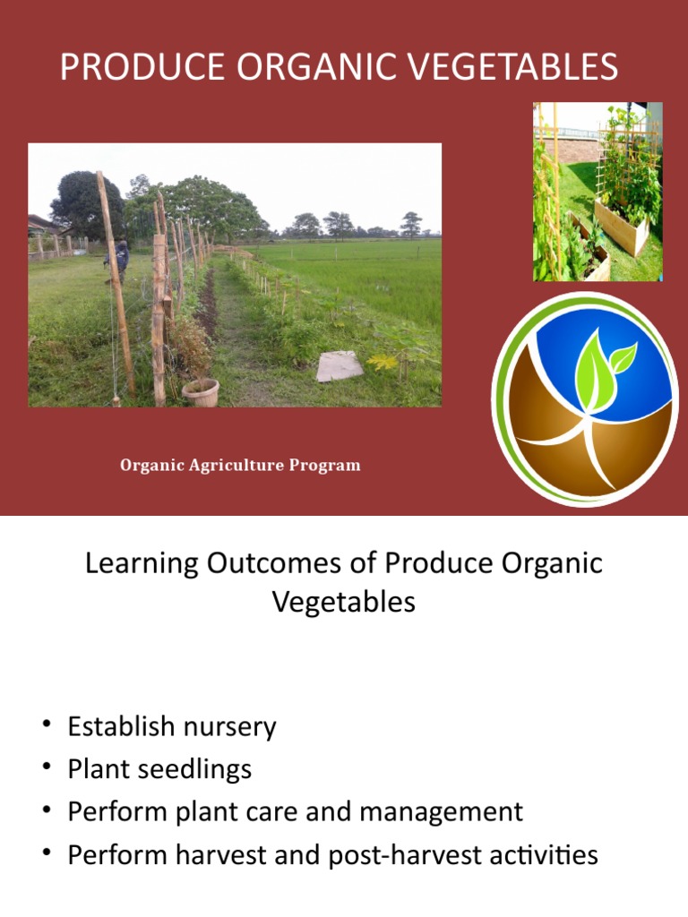 Organic Vegetable Production Guide | PDF | Vegetables | Crop Rotation